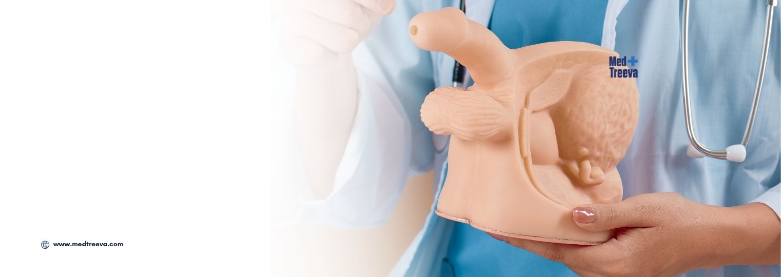 web_Inflatable Penile Implant in India